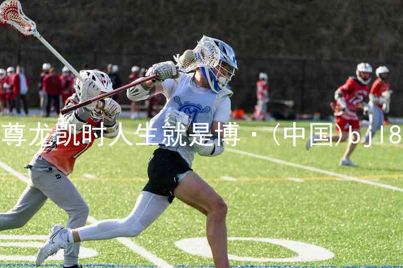 尊龙凯时人生就是博·(中国)bjl8