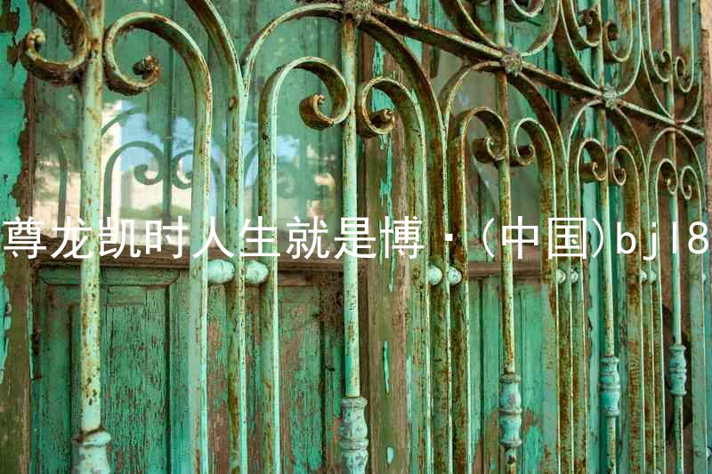 尊龙凯时人生就是博·(中国)bjl8