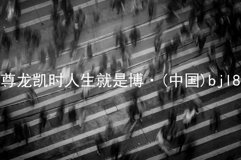 尊龙凯时人生就是博·(中国)bjl8